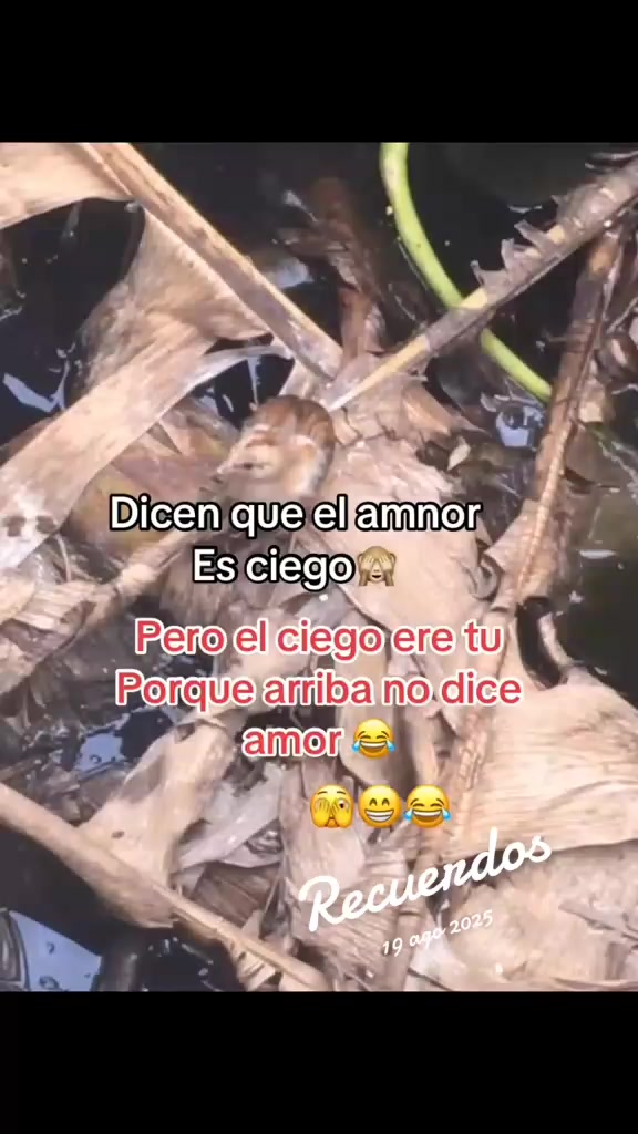 @@franyer_oficial
