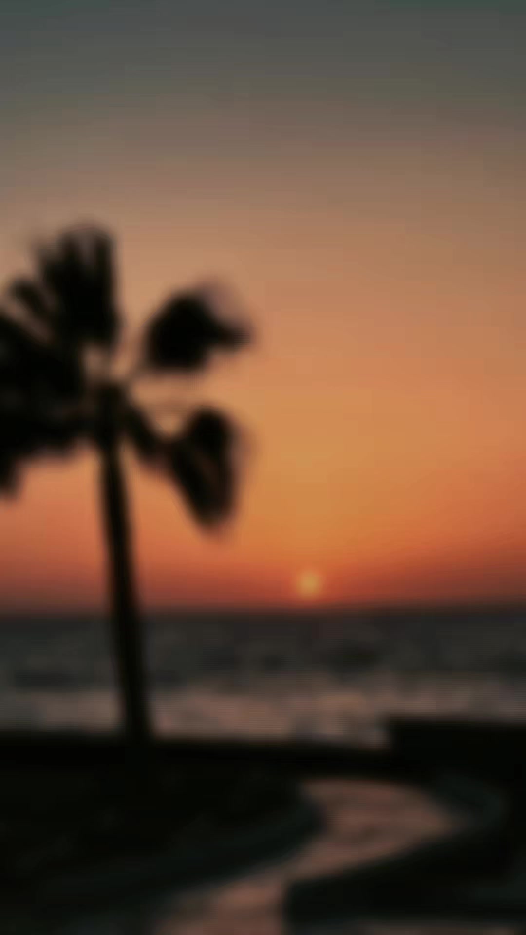 @havmoon9