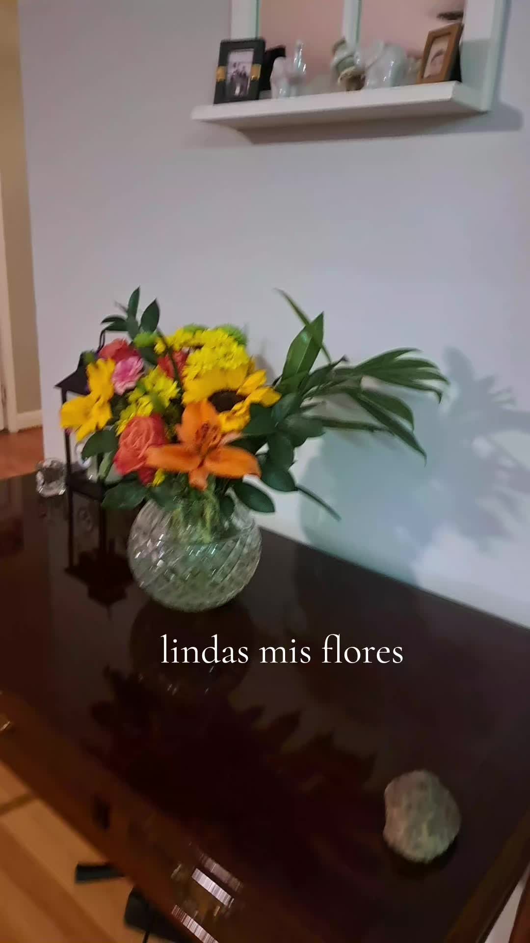 @Gina Lucero