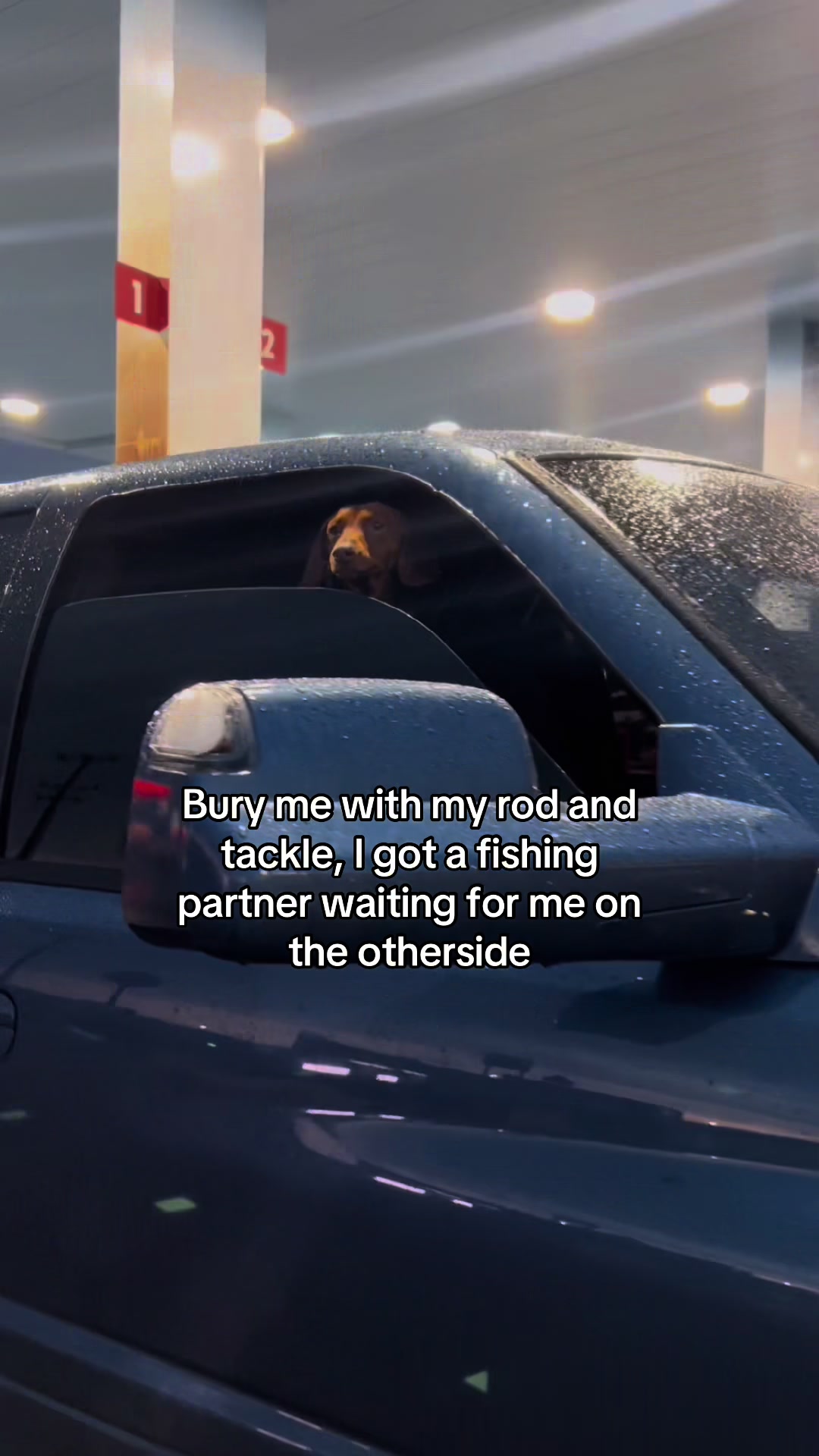 @PBJ Cummins