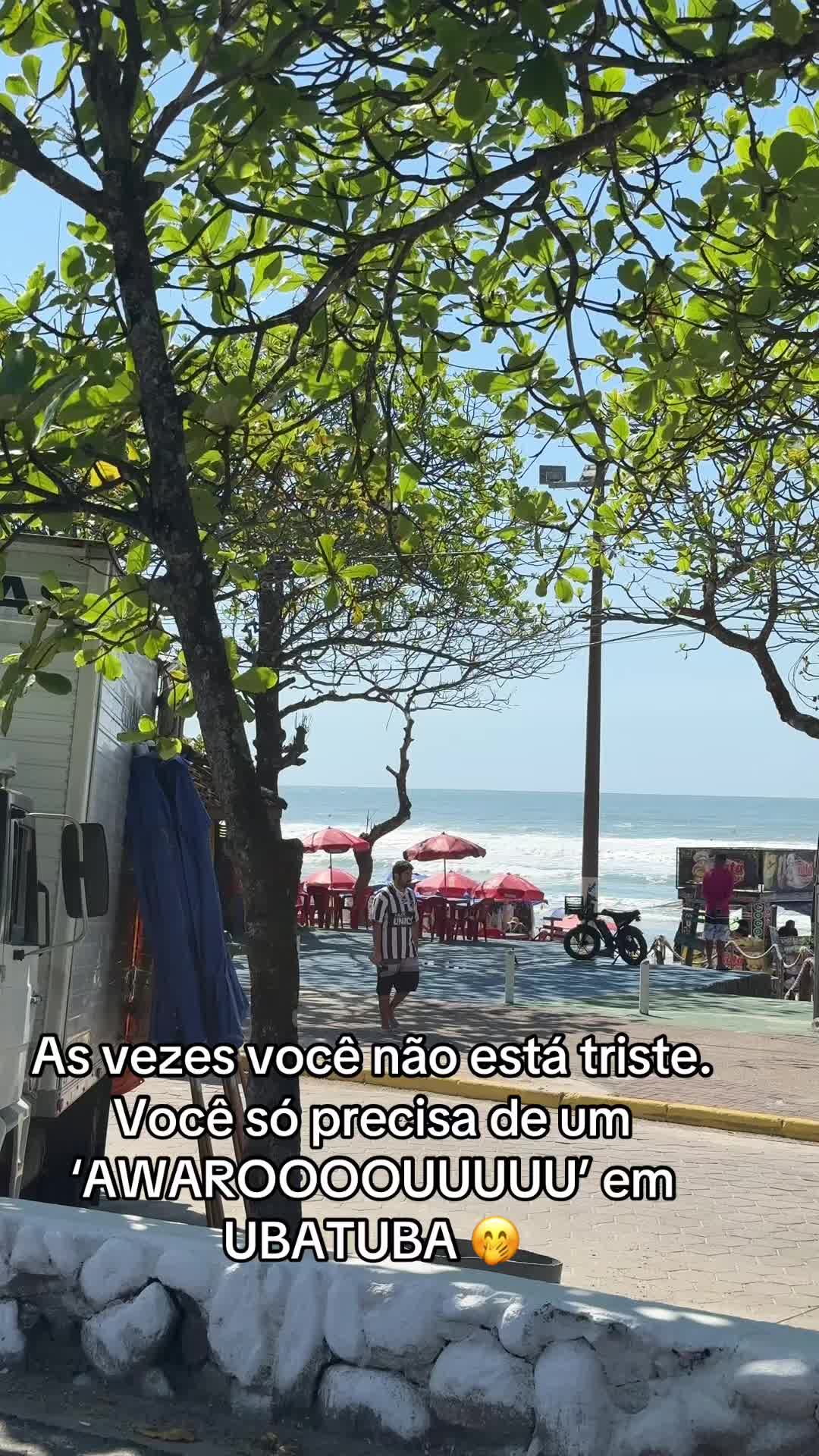 @Vanessa Vit&oacute;ria5543