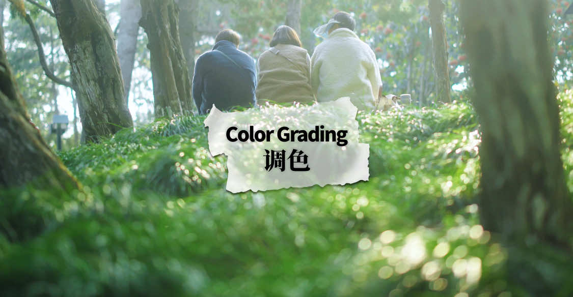 @Mr.Lu 卢
