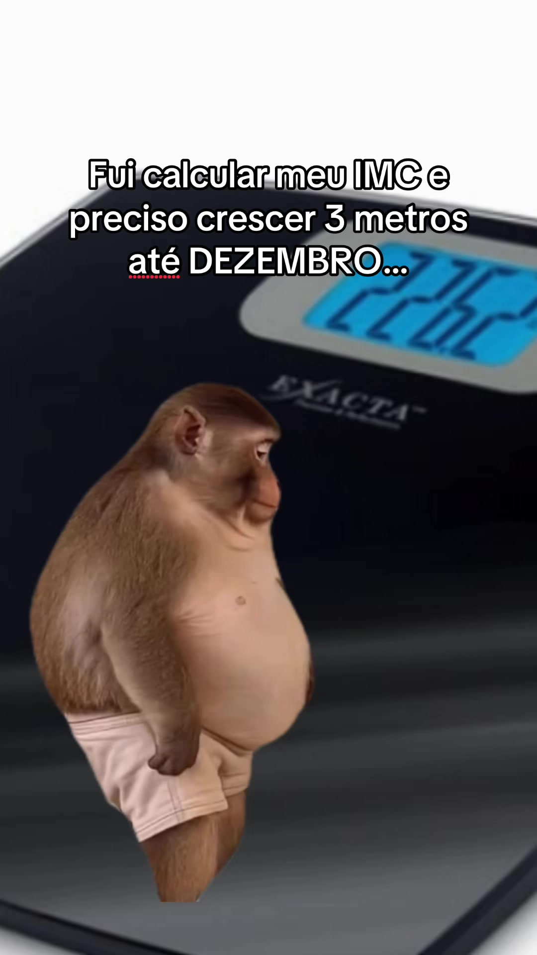 @tababadeira