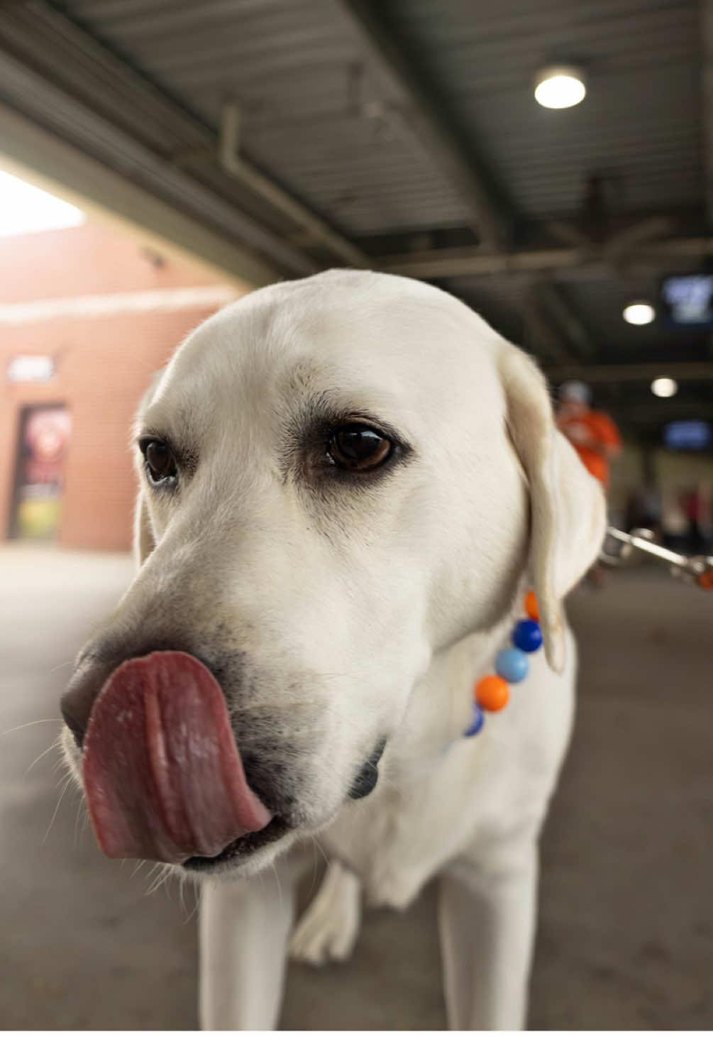 @BGHotRods