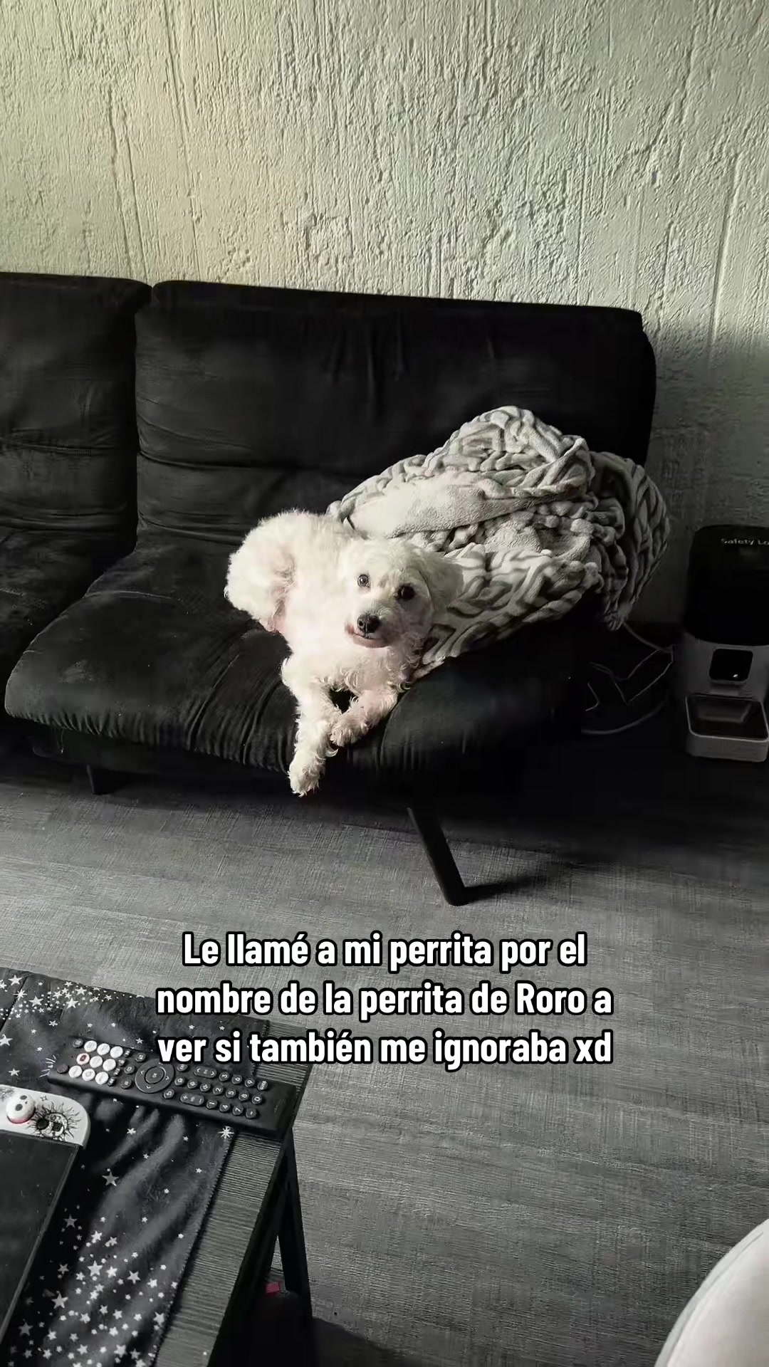 @Sombra ♡