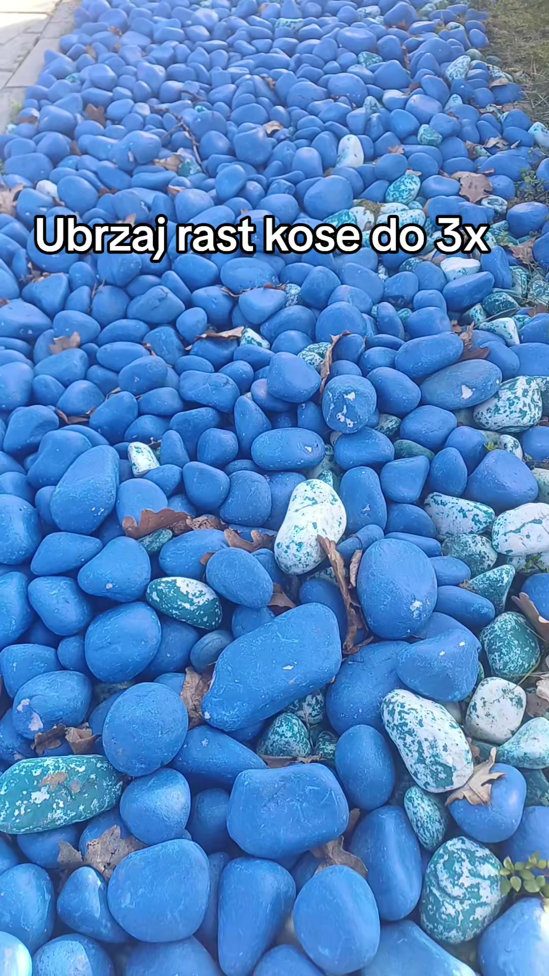 @Kruna sjaja