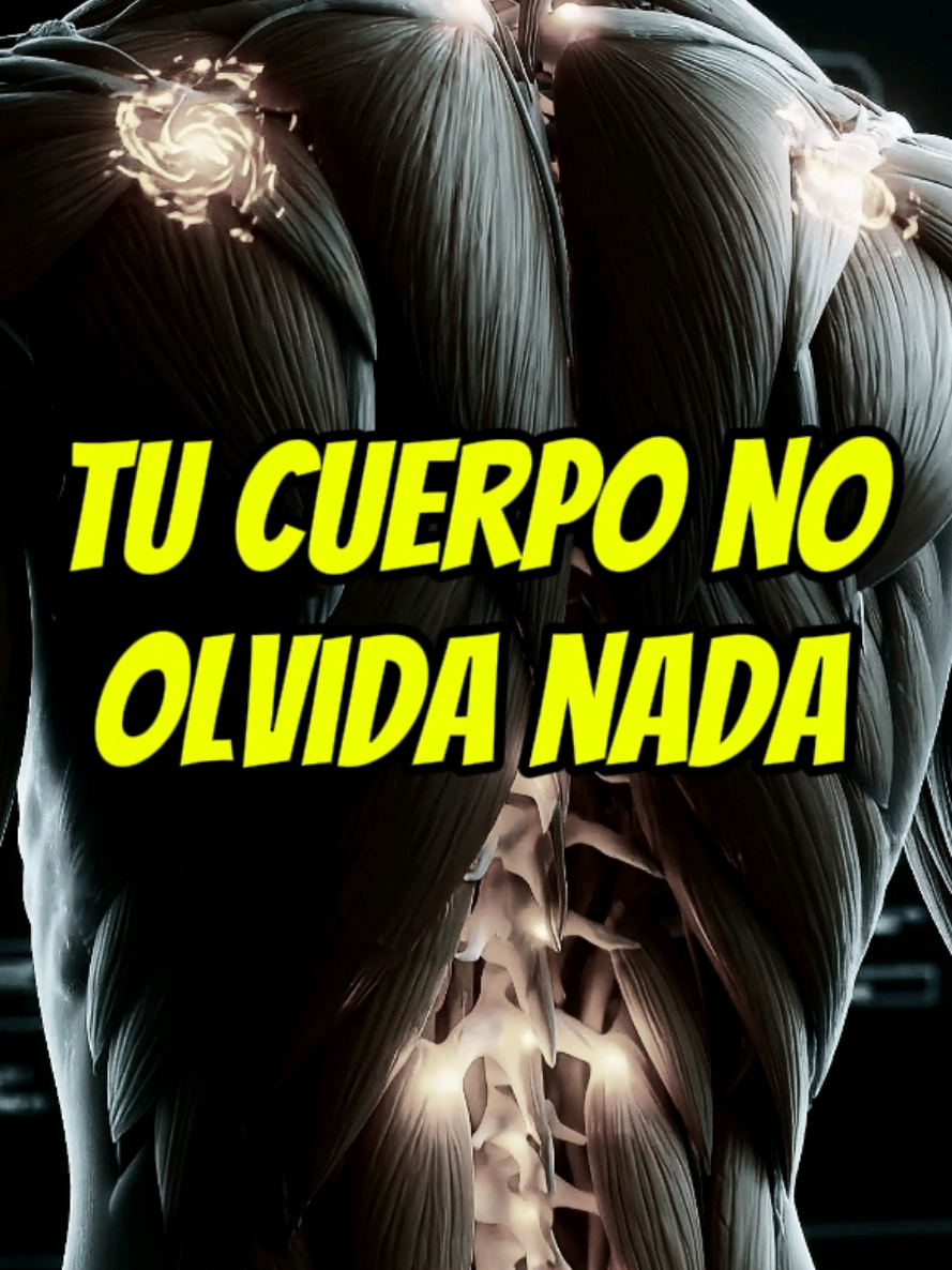 @Codigo Sagrado