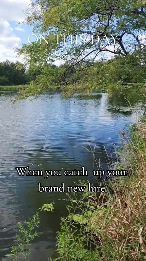 @ᥴꪖᦓᦓꪮꪀᦔ᥅ꪖ