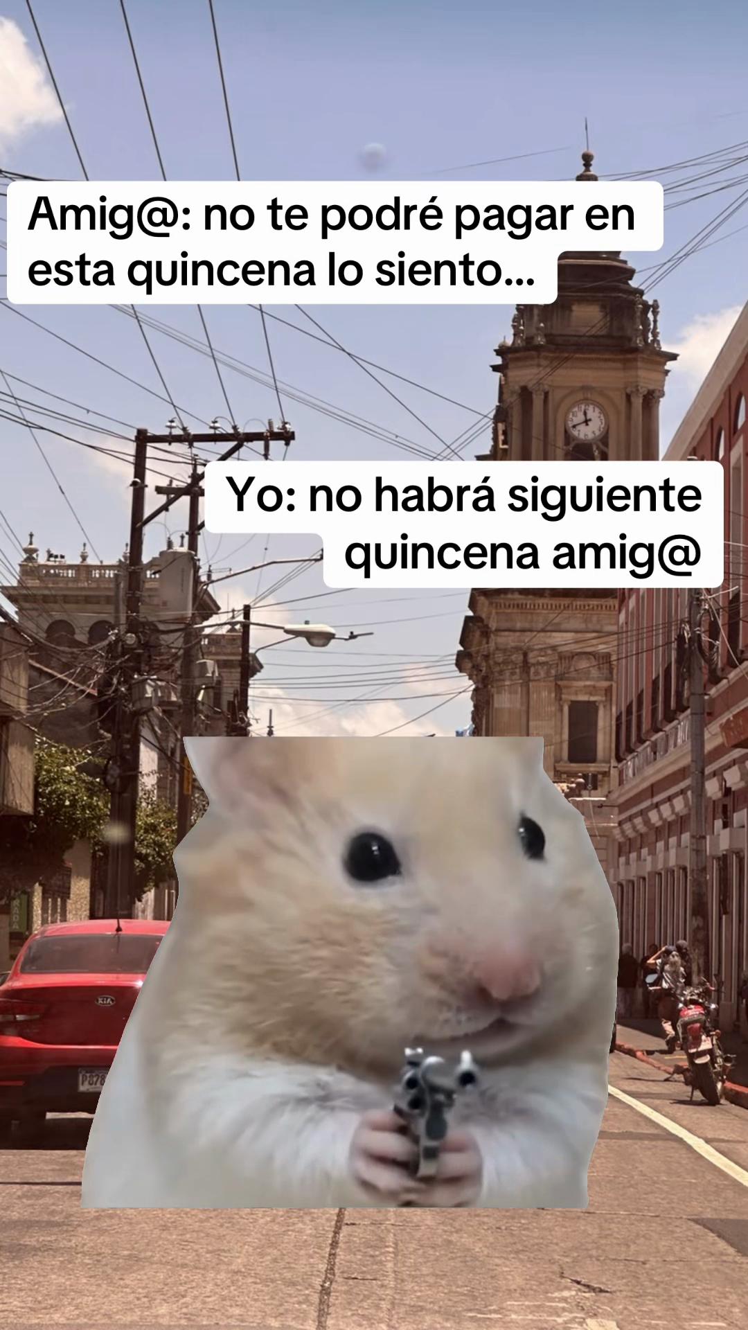 @Ed 🐺