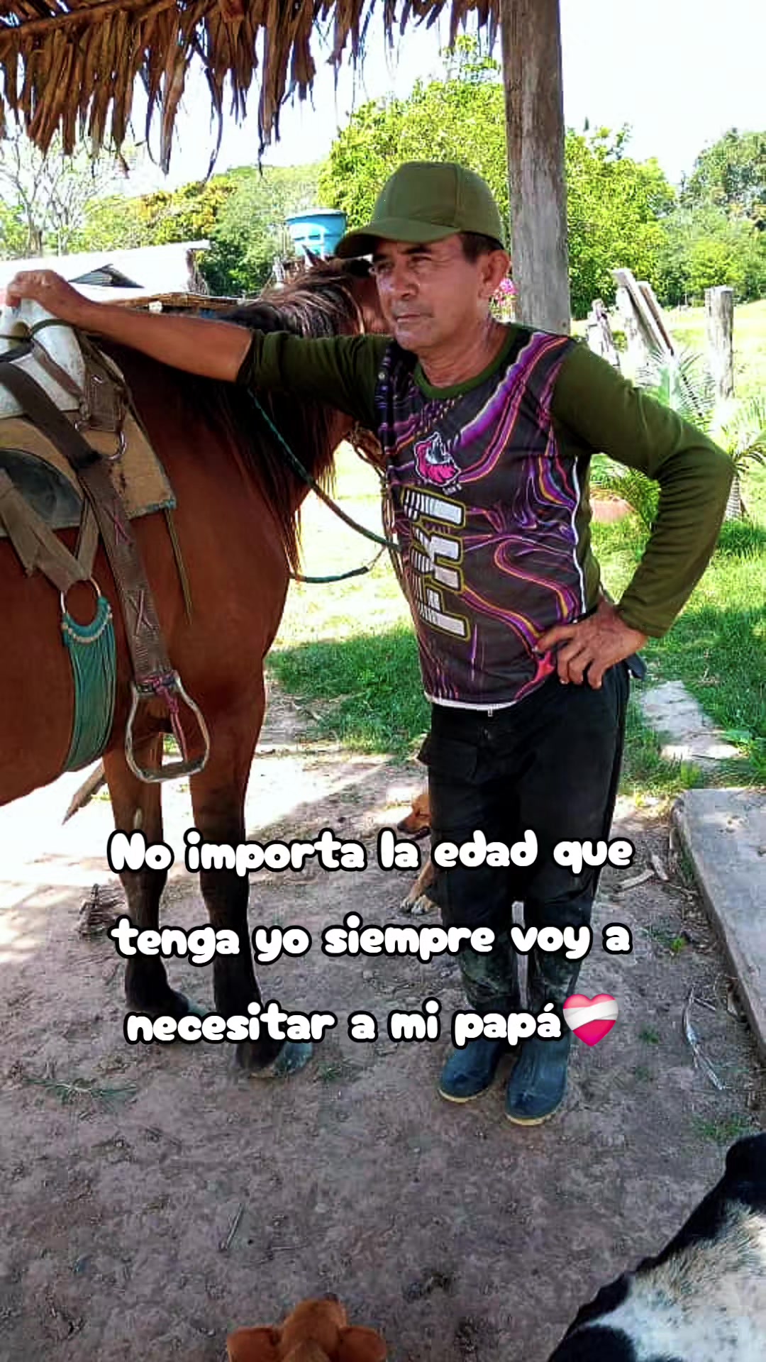 @Pª°✨️