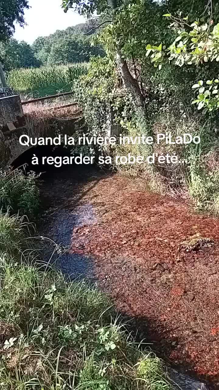 @PiL&forall;Do