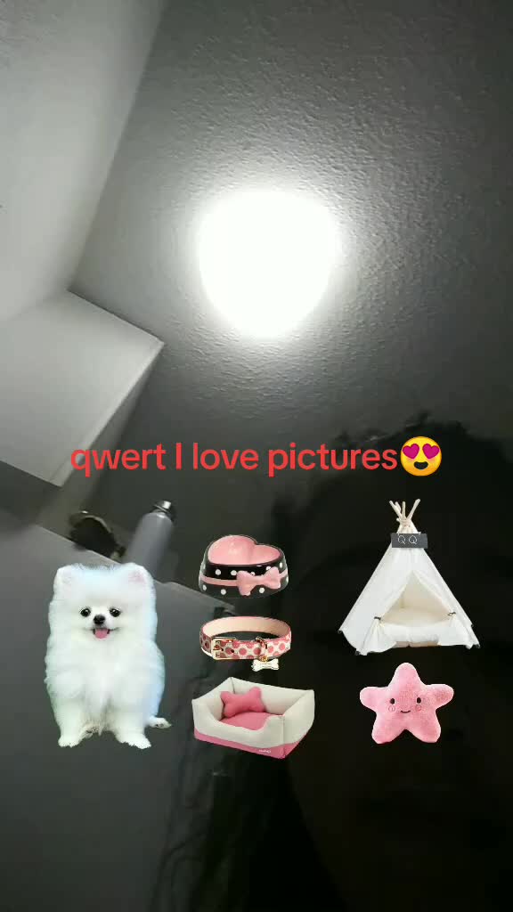 @user6583473369306
