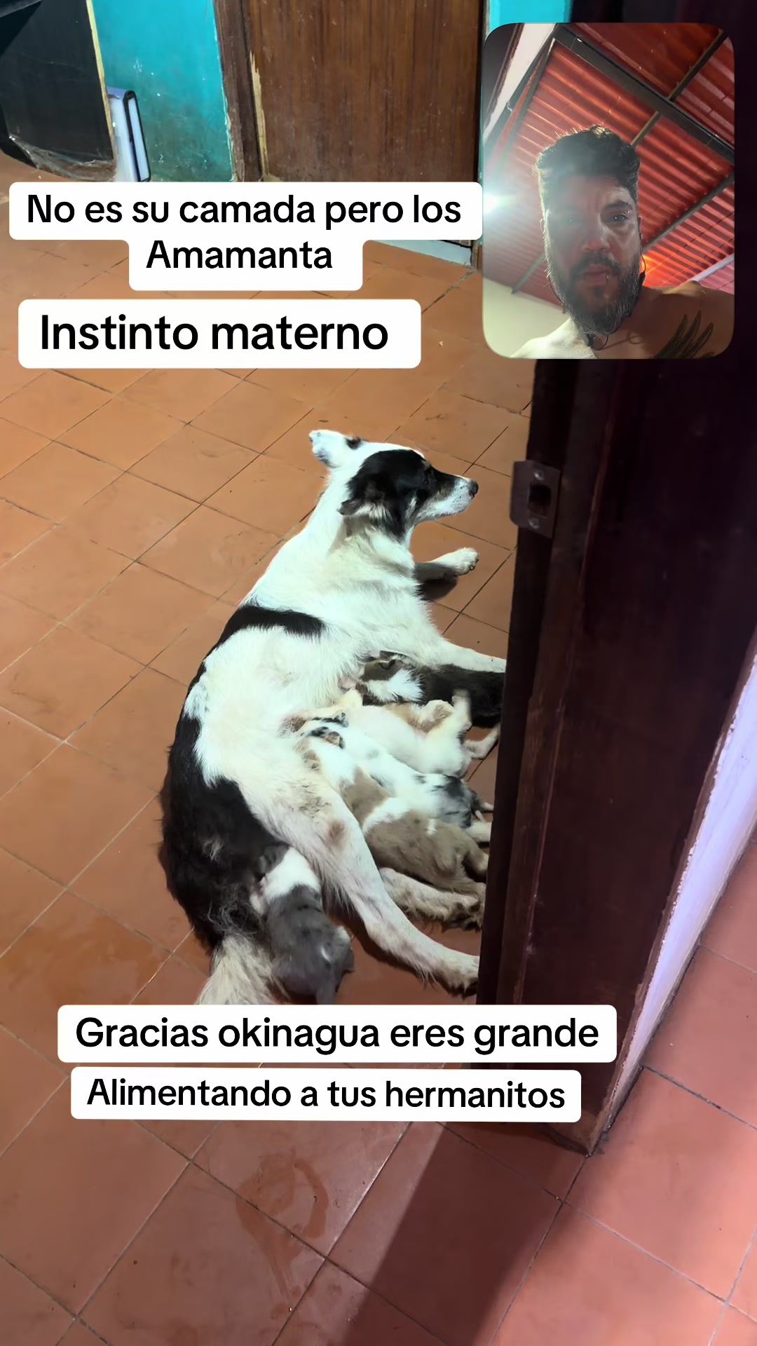 @okinagua