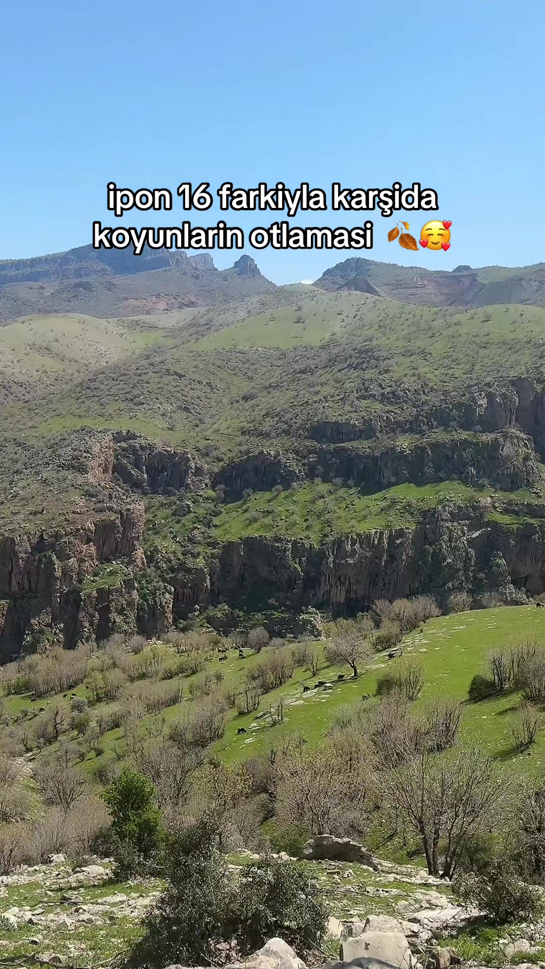 @ŞİYAR ✪