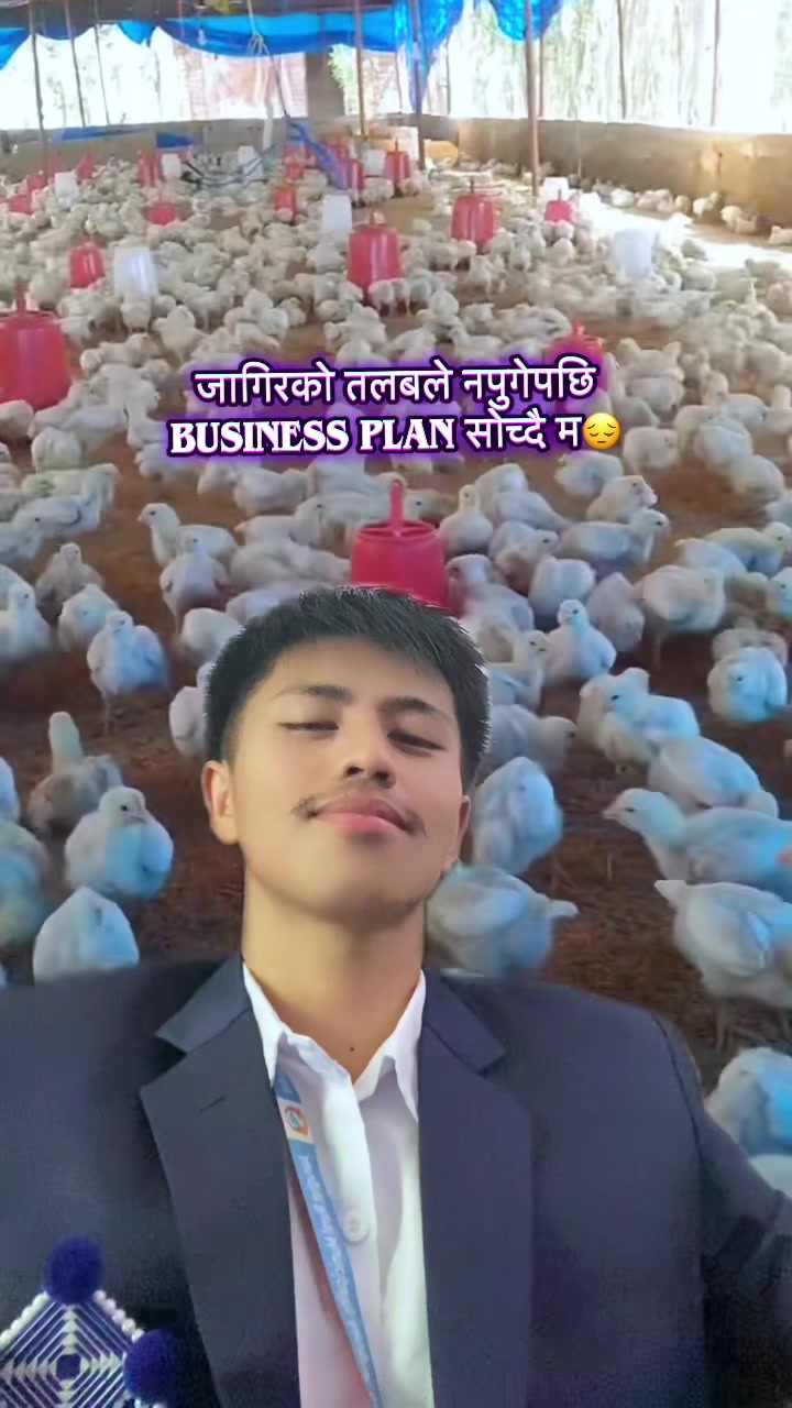 @🕊️