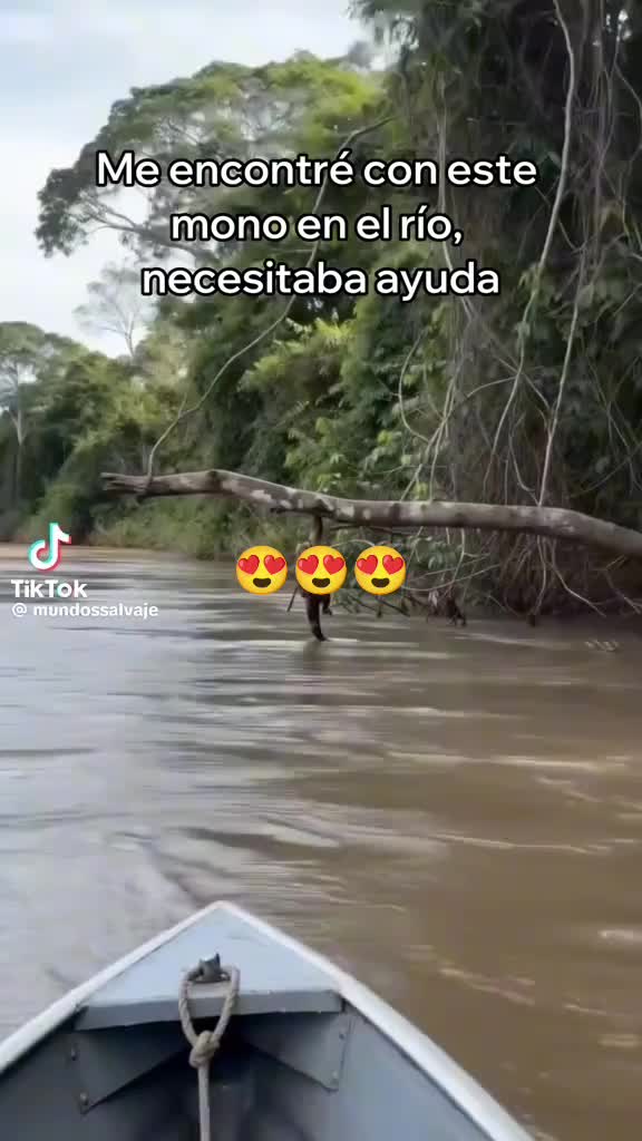 @TIGER