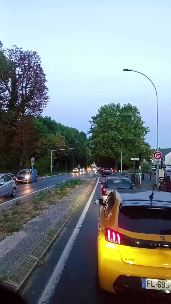 @ZZ 95