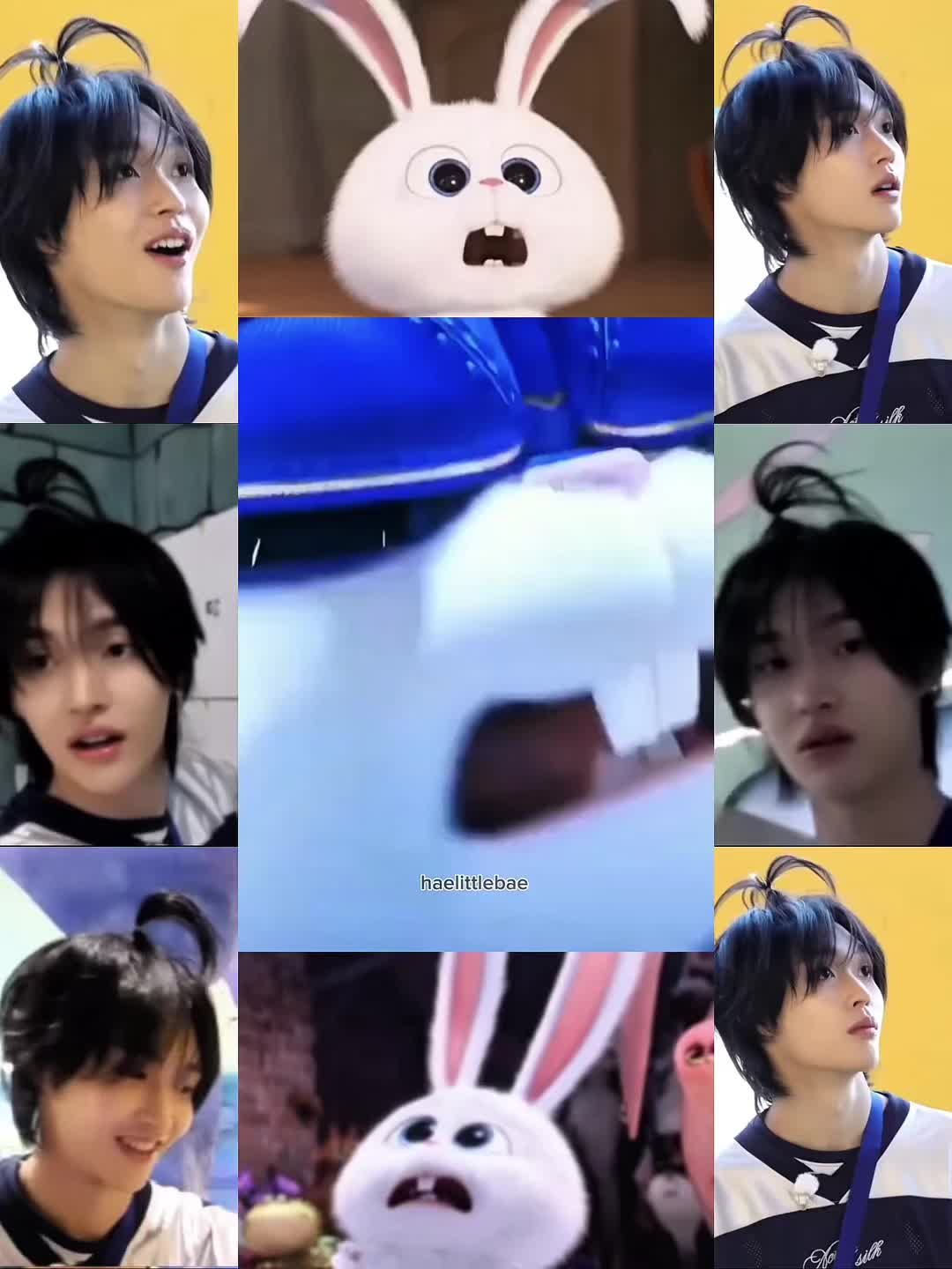 @haelittlebbina