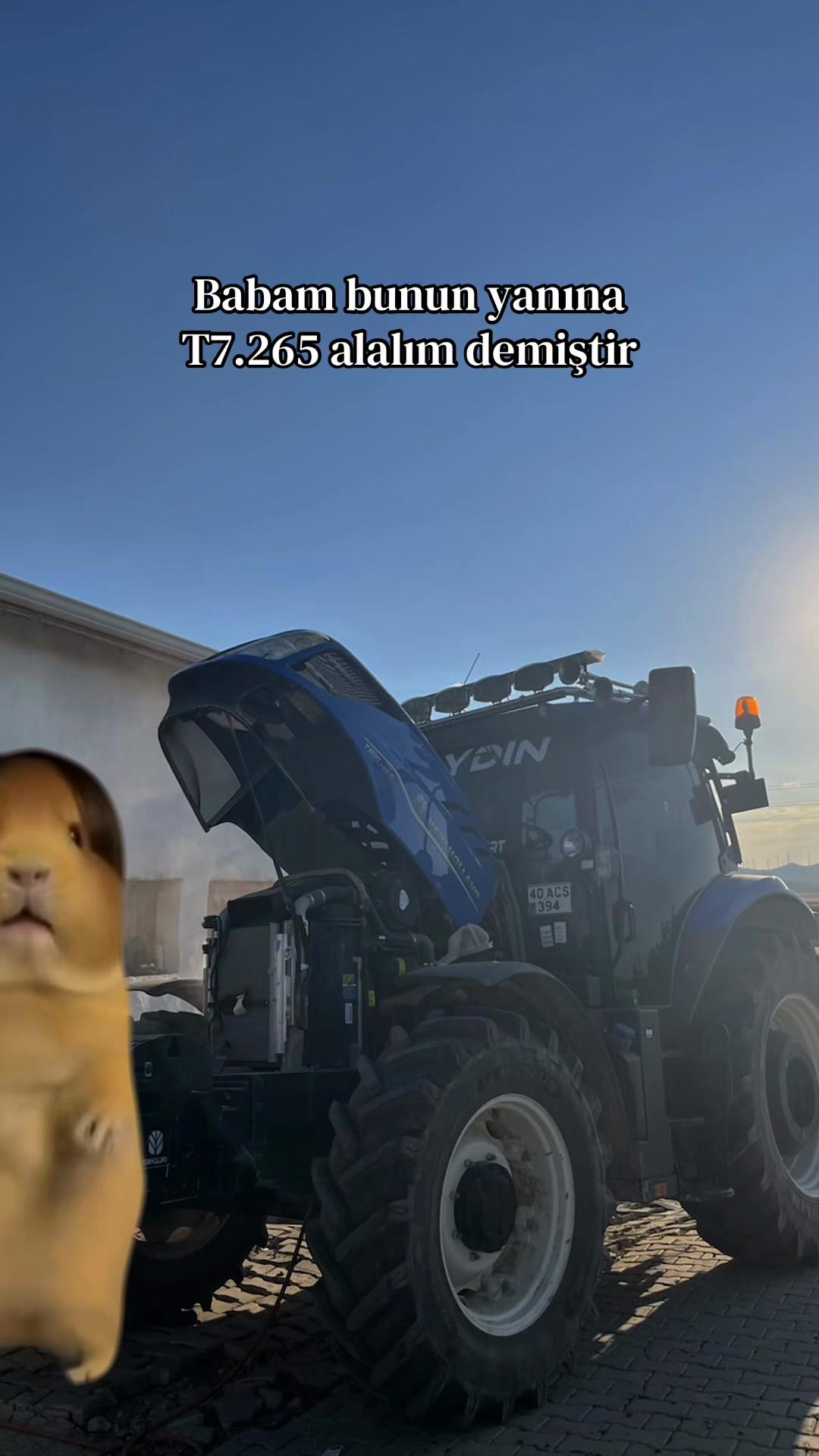 @Y.Mert