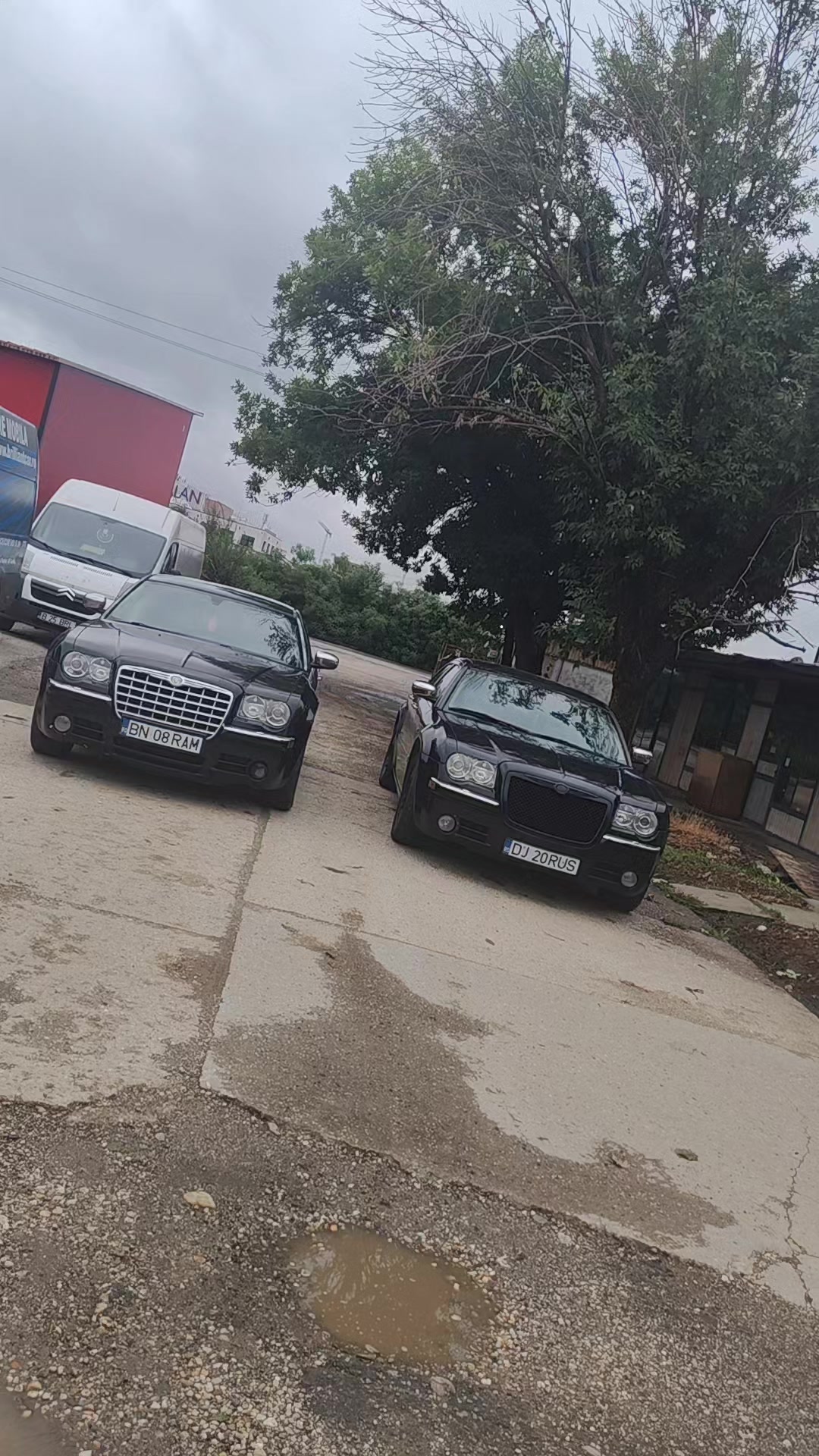 @𝐸𝓁𝑒𝓃𝒶 👑𝒞𝒶𝓉𝒶𝓁𝓎𝓃𝒶
