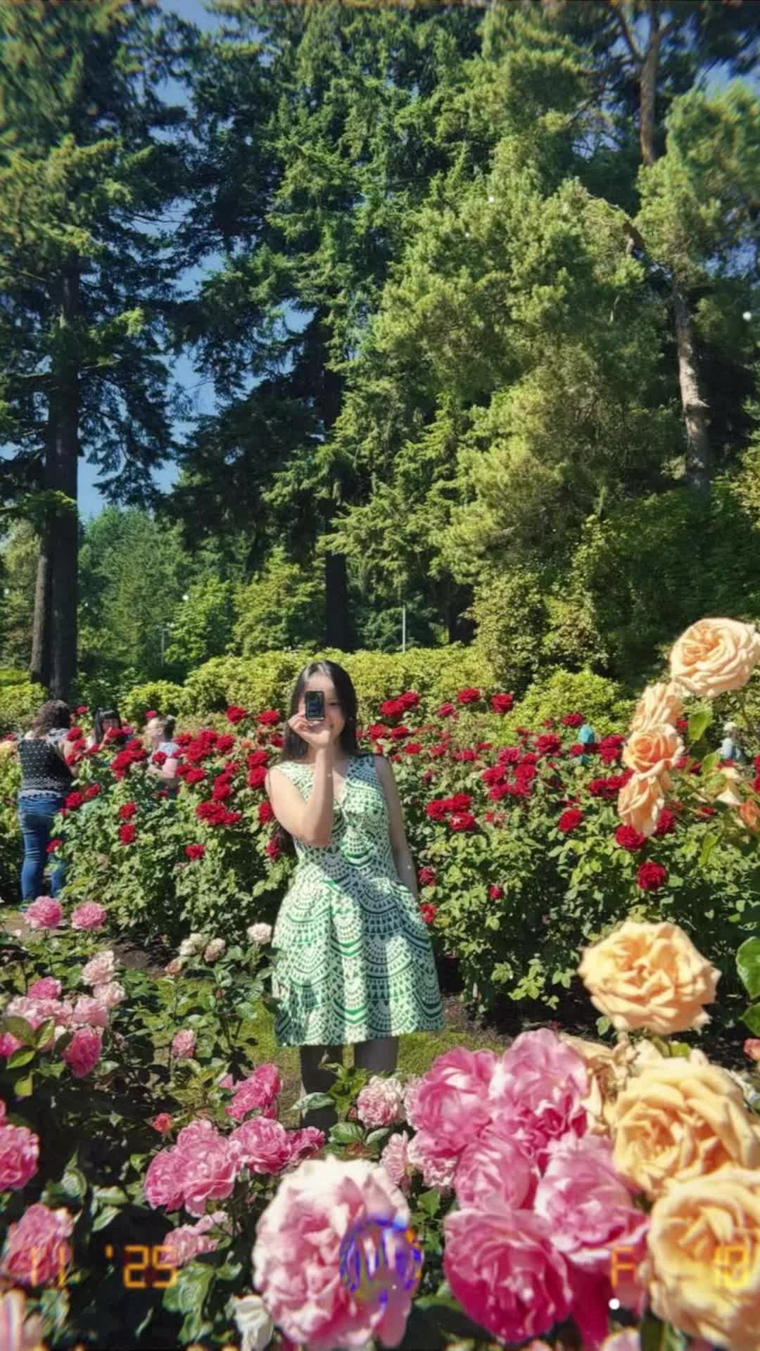 @pdkchii