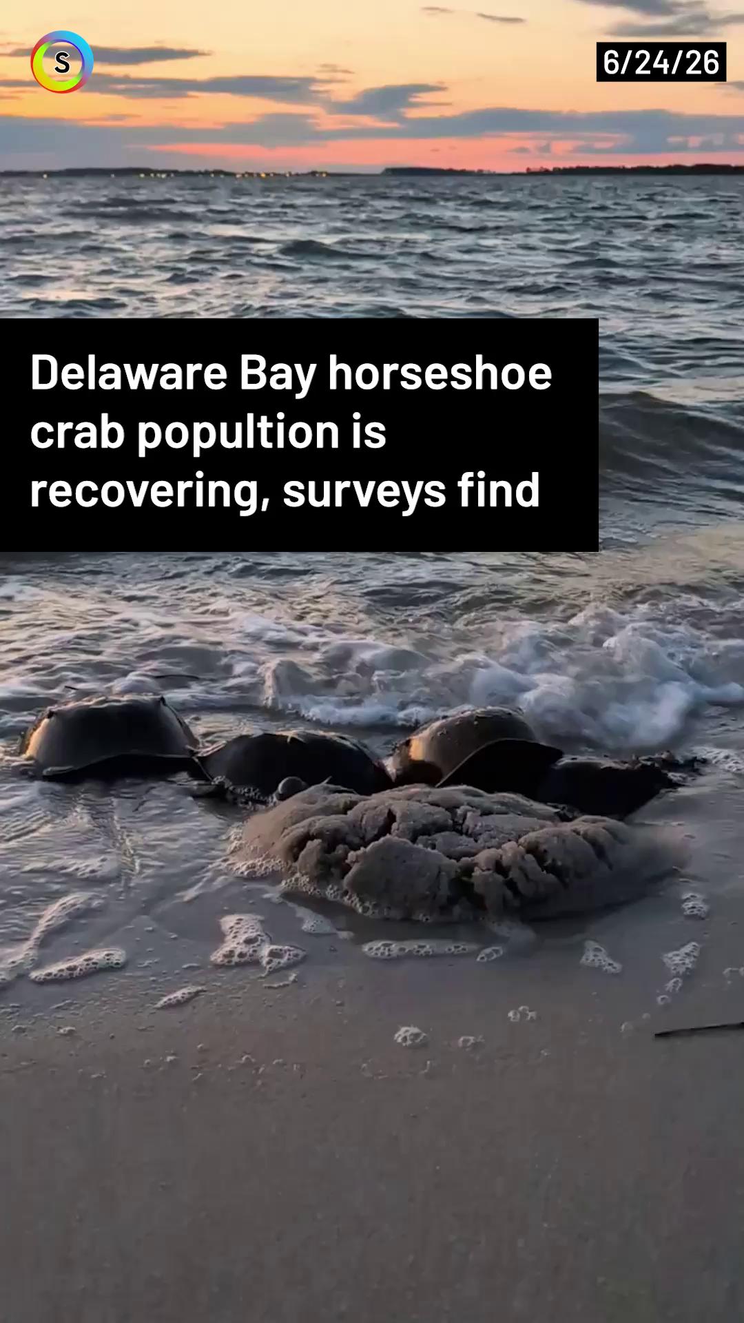 @Spotlight Delaware