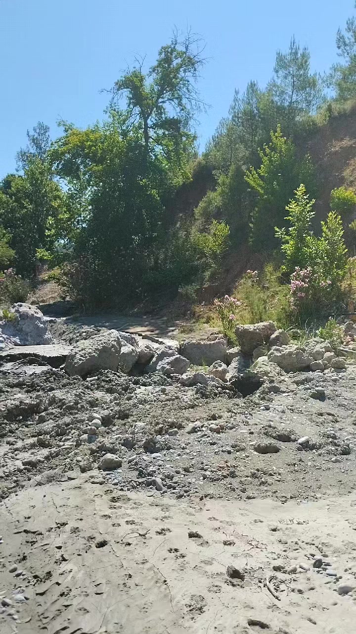@☺️Farmasi Cemile damgacı🐟