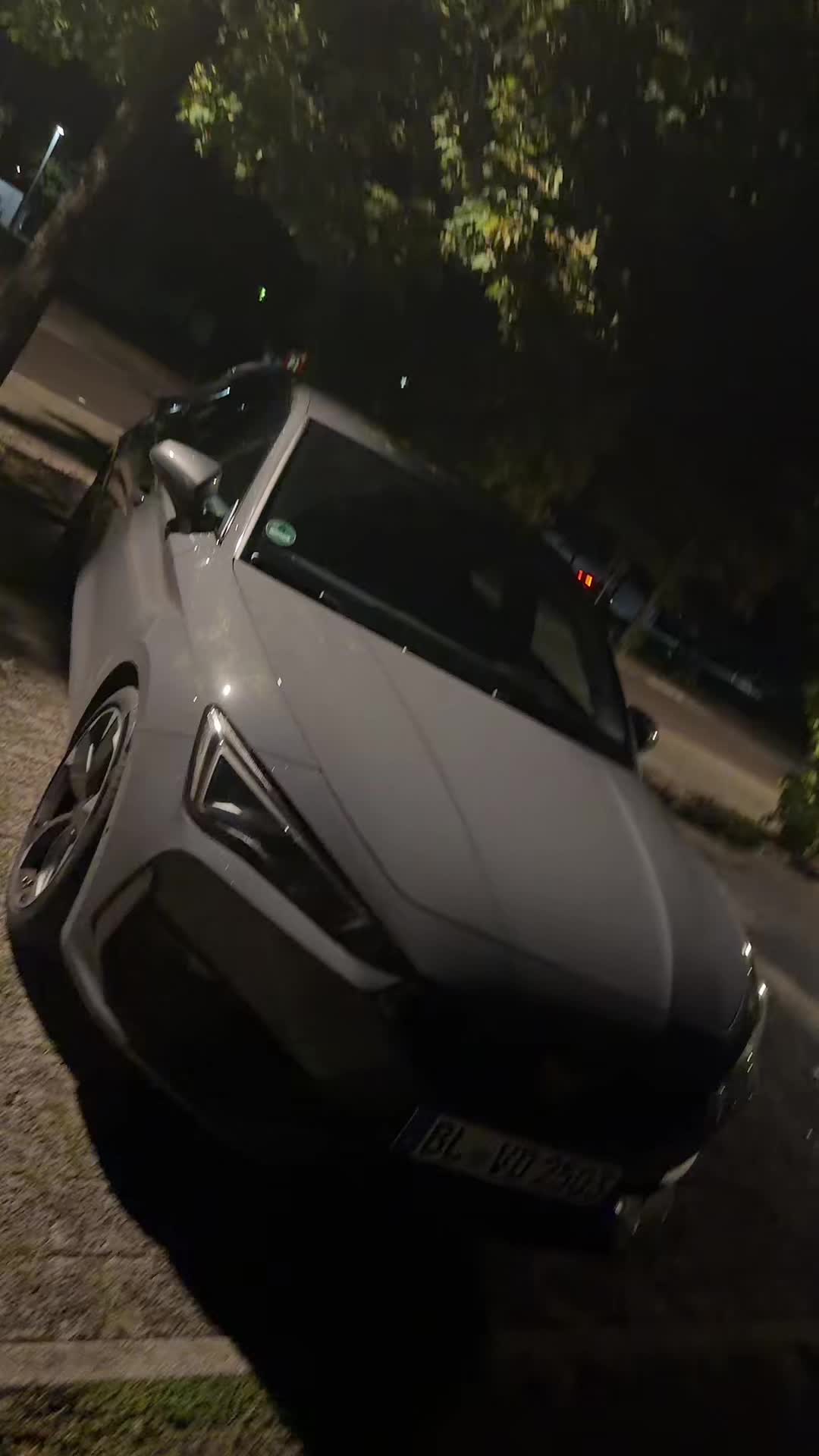 @cupraleon_v