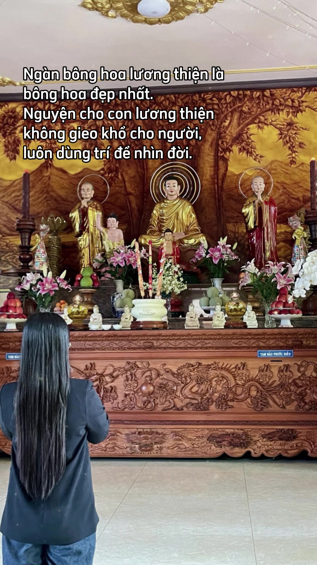 @Mậu Dần 1998