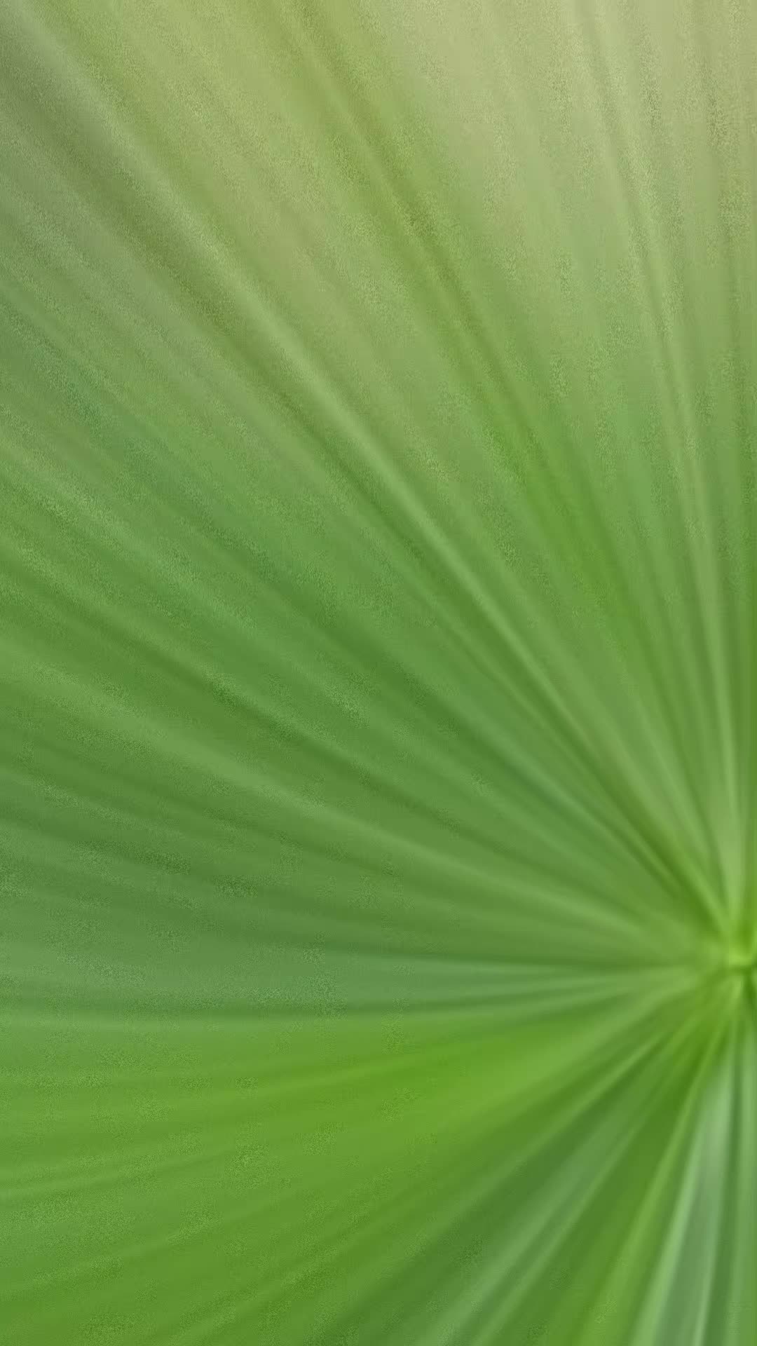 @🦚🆃𝓲𝓮𝓻🅿𝓪𝓻𝓴🆃𝓸𝓴🦚