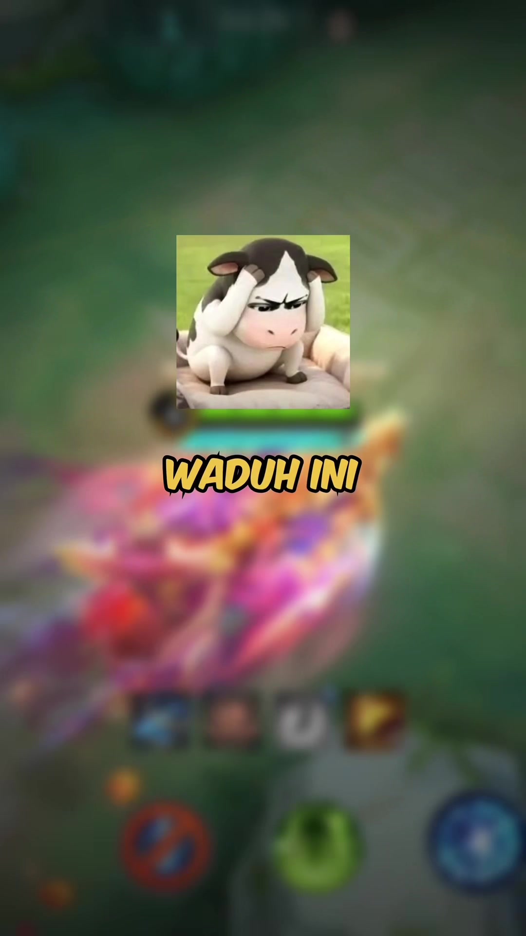 @ACURSIO RUDI ID