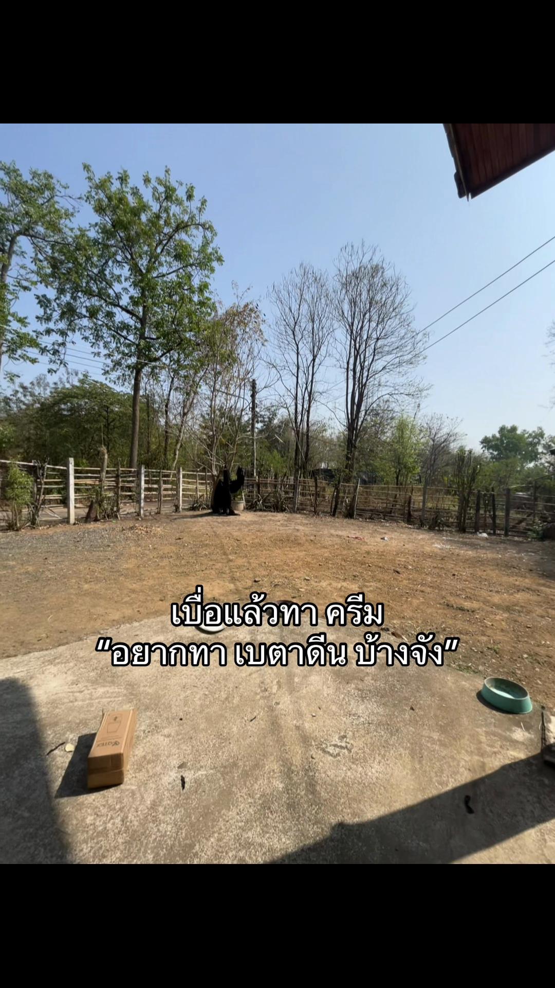 @🩶กรีน🖤