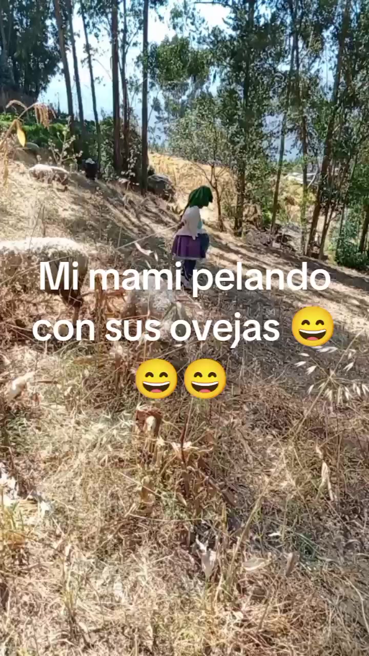 @marimarVR