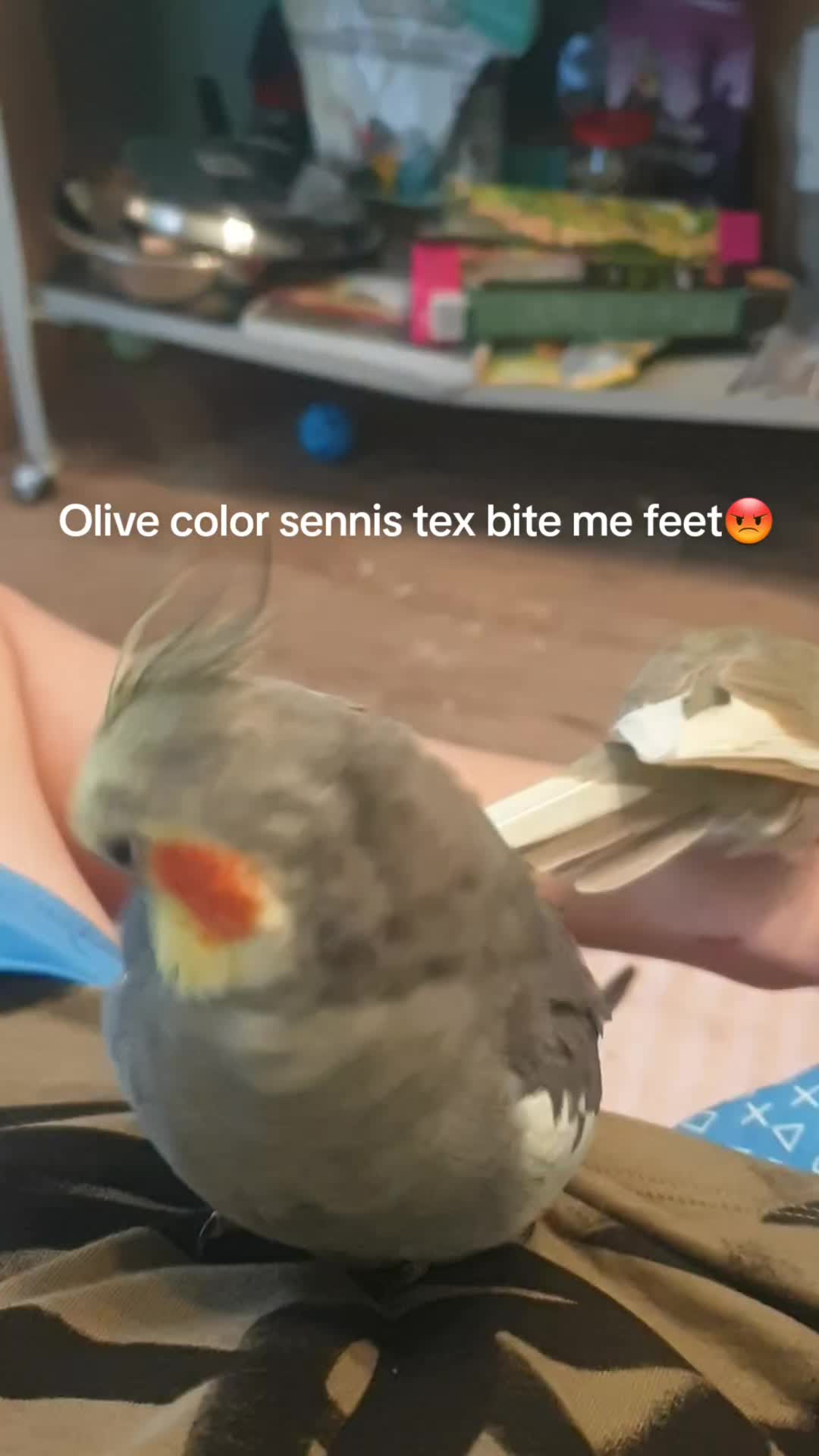 @PepsiSennisTexBird (Qoon Aura)