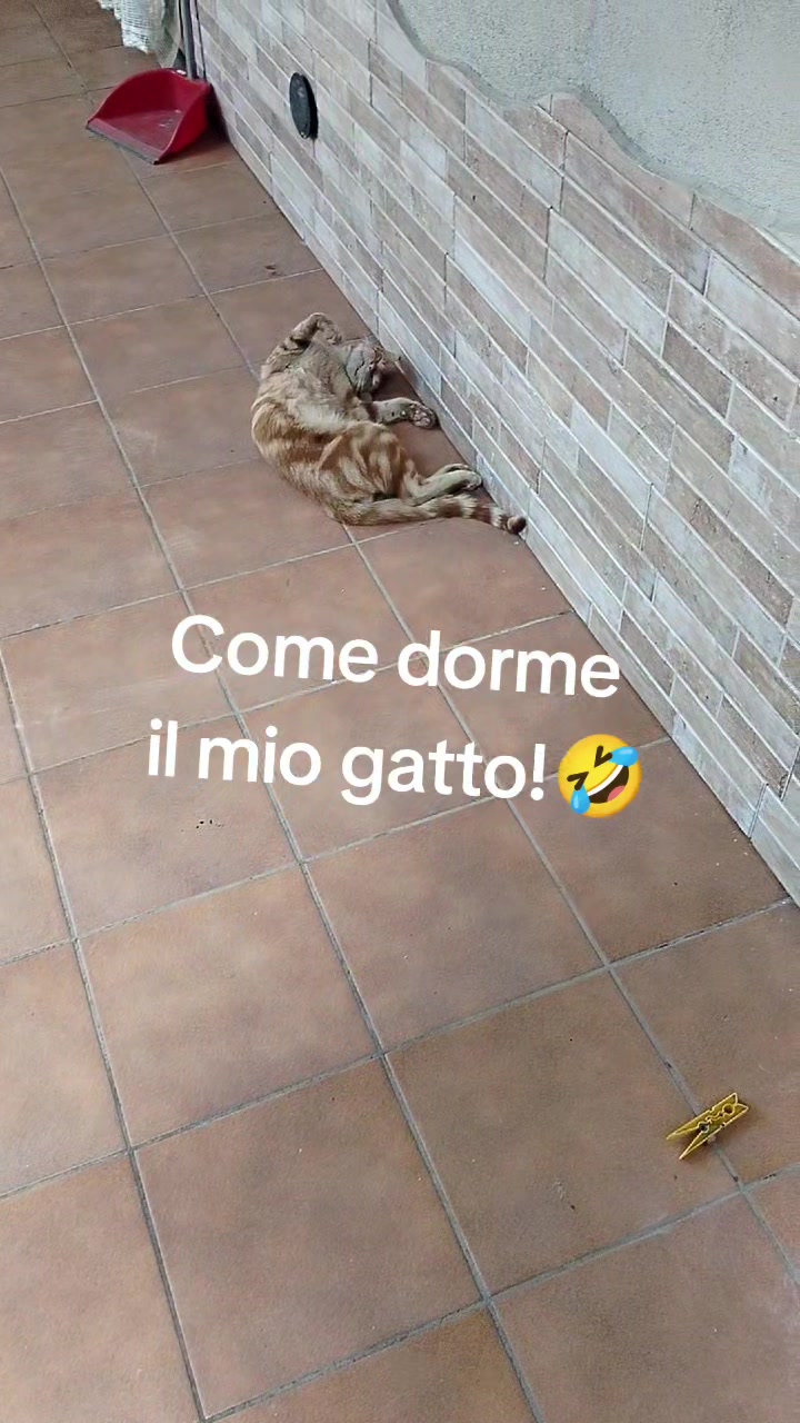 @Lucy_Style_Dance