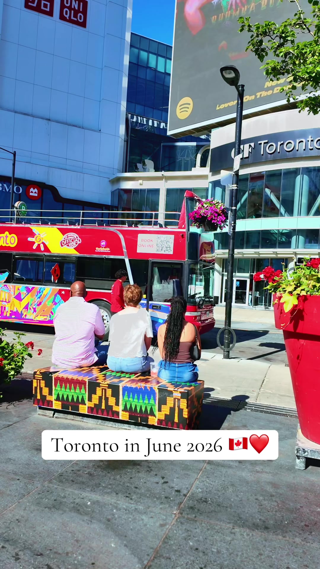 @Toronto Vibe🇨🇦