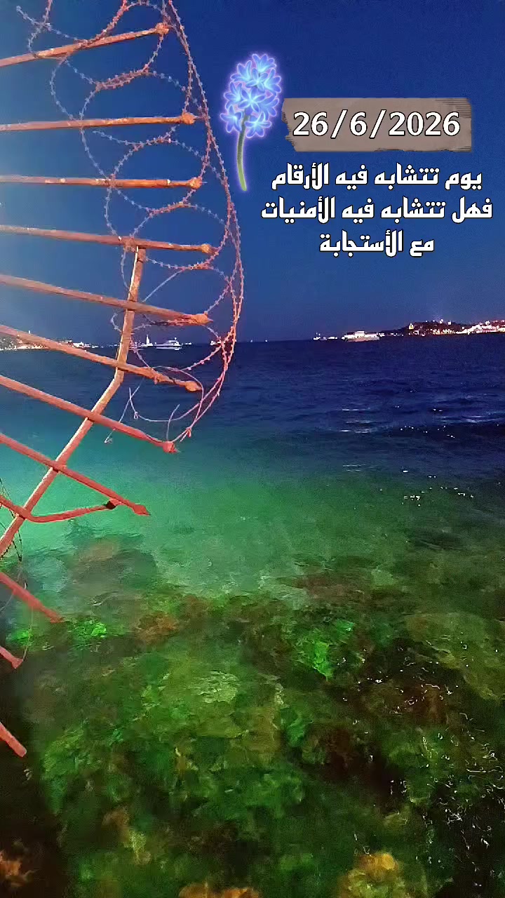 @☆𝑵𝒆𝒔𝒓𝒊𝒏𝒆☆