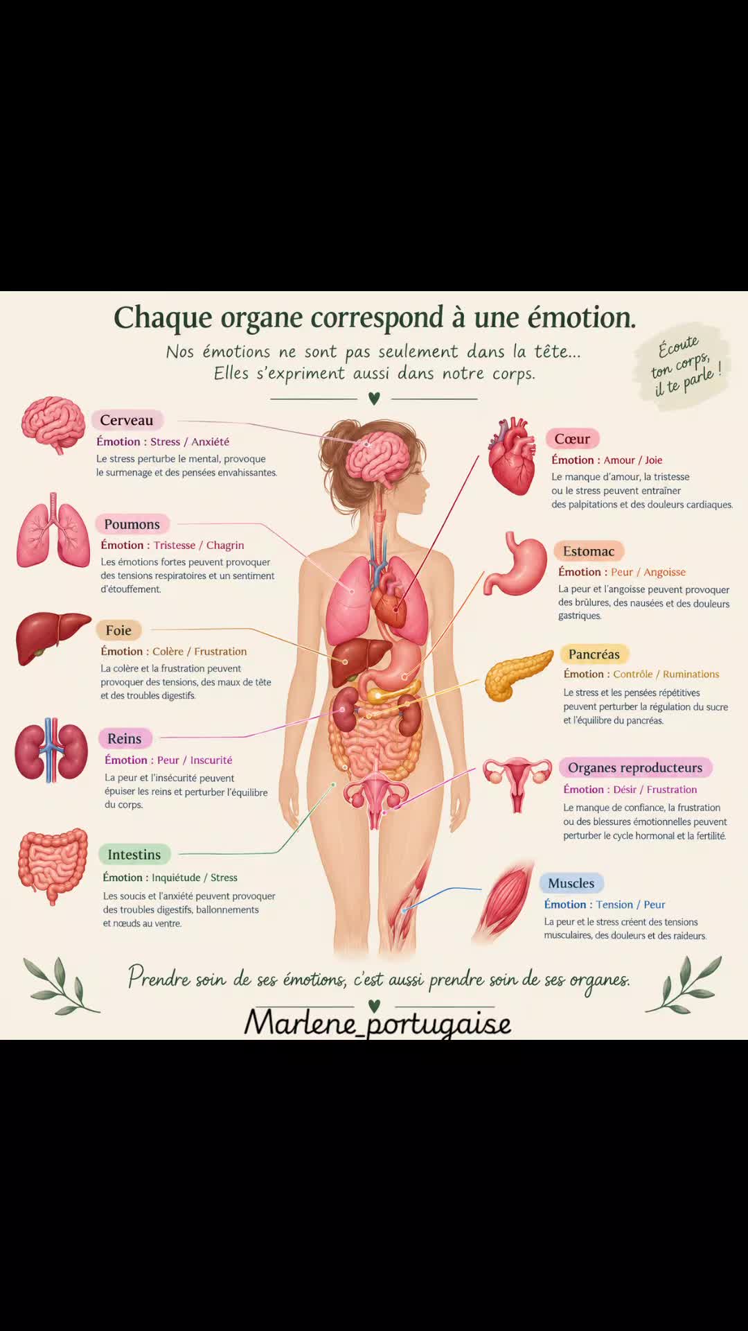 @🇨🇵Marlene𓂀🪽portugaise🇵🇹