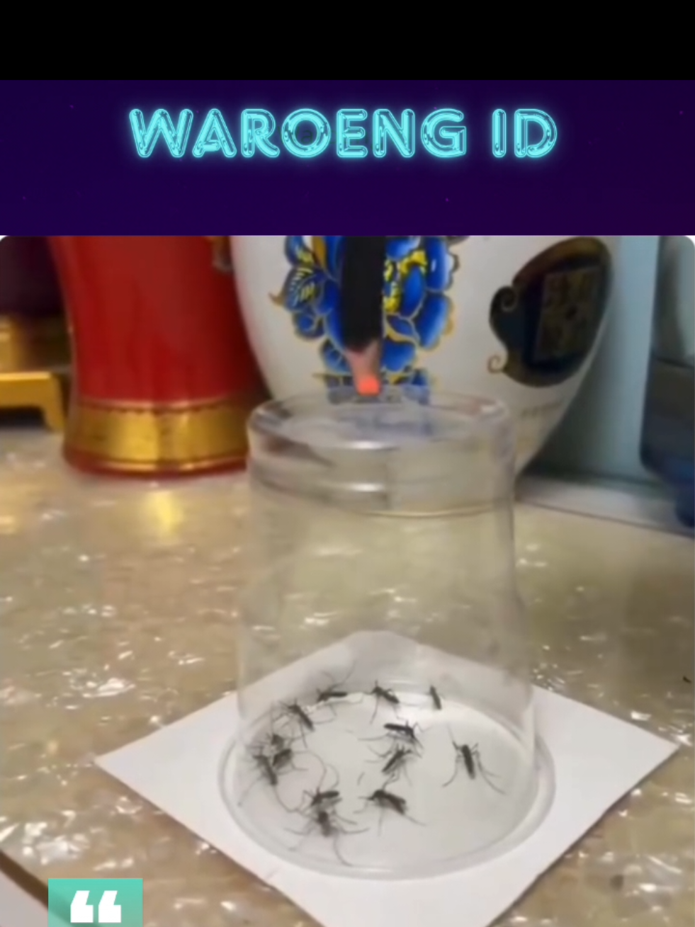 @waroeng.id