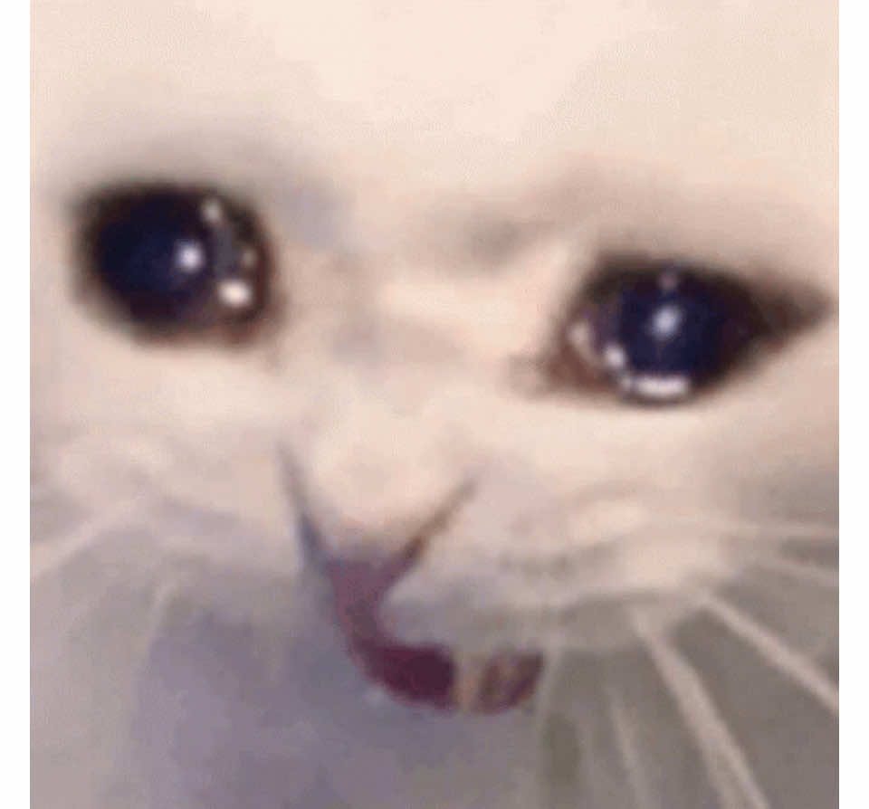 @KittyKat
