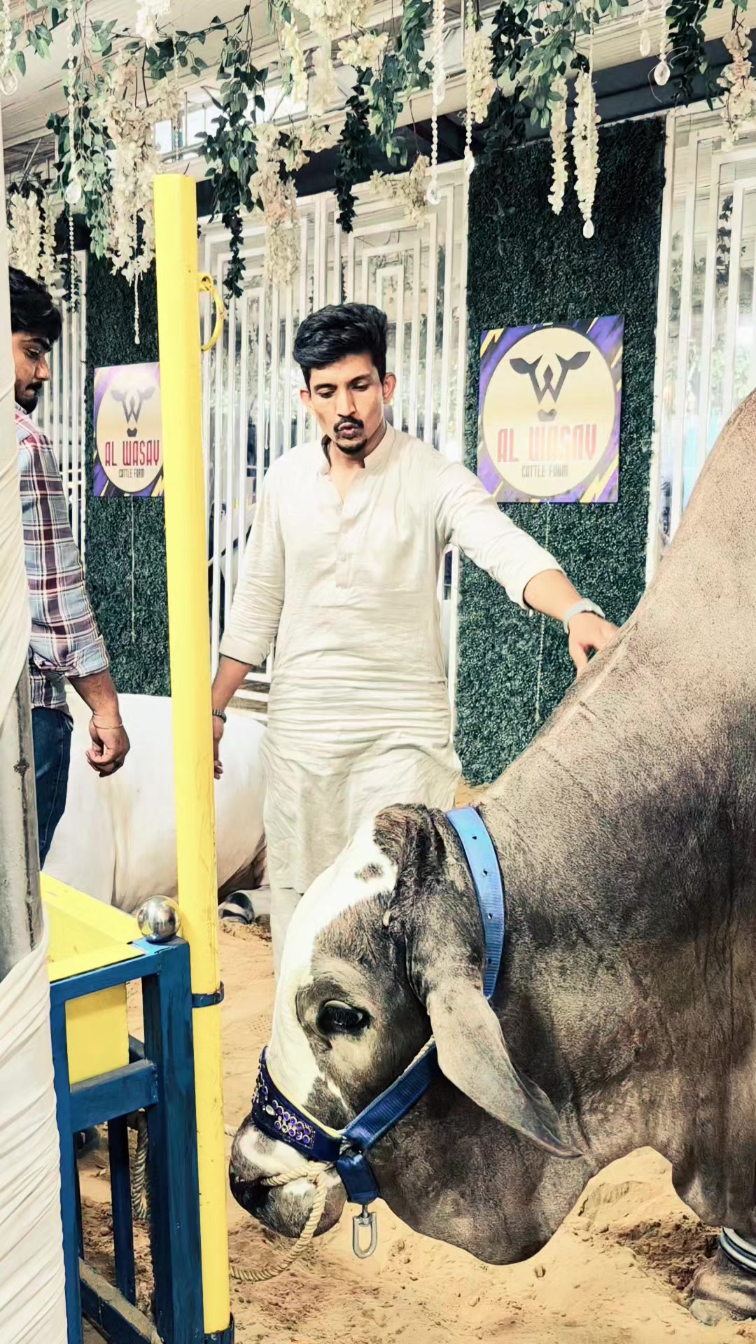 @🔥SARDAR😎🔥