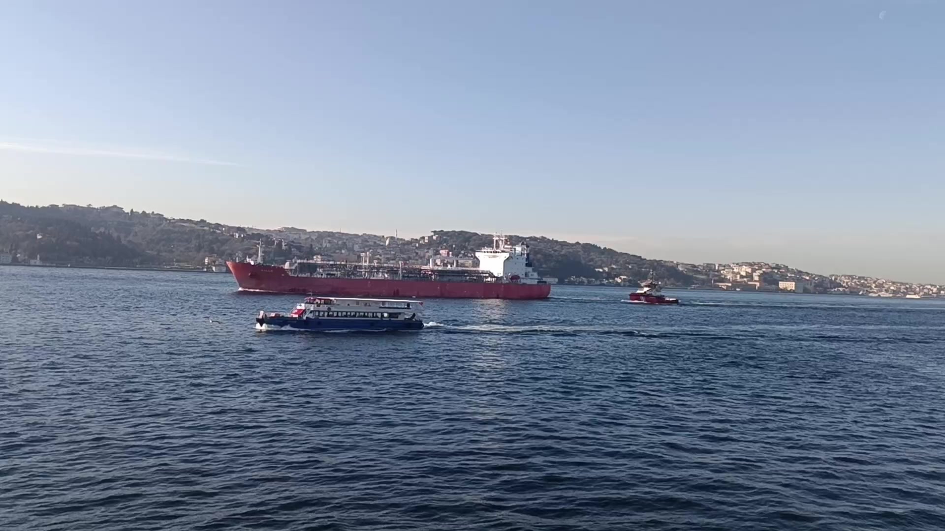 @Alican Dalgıç