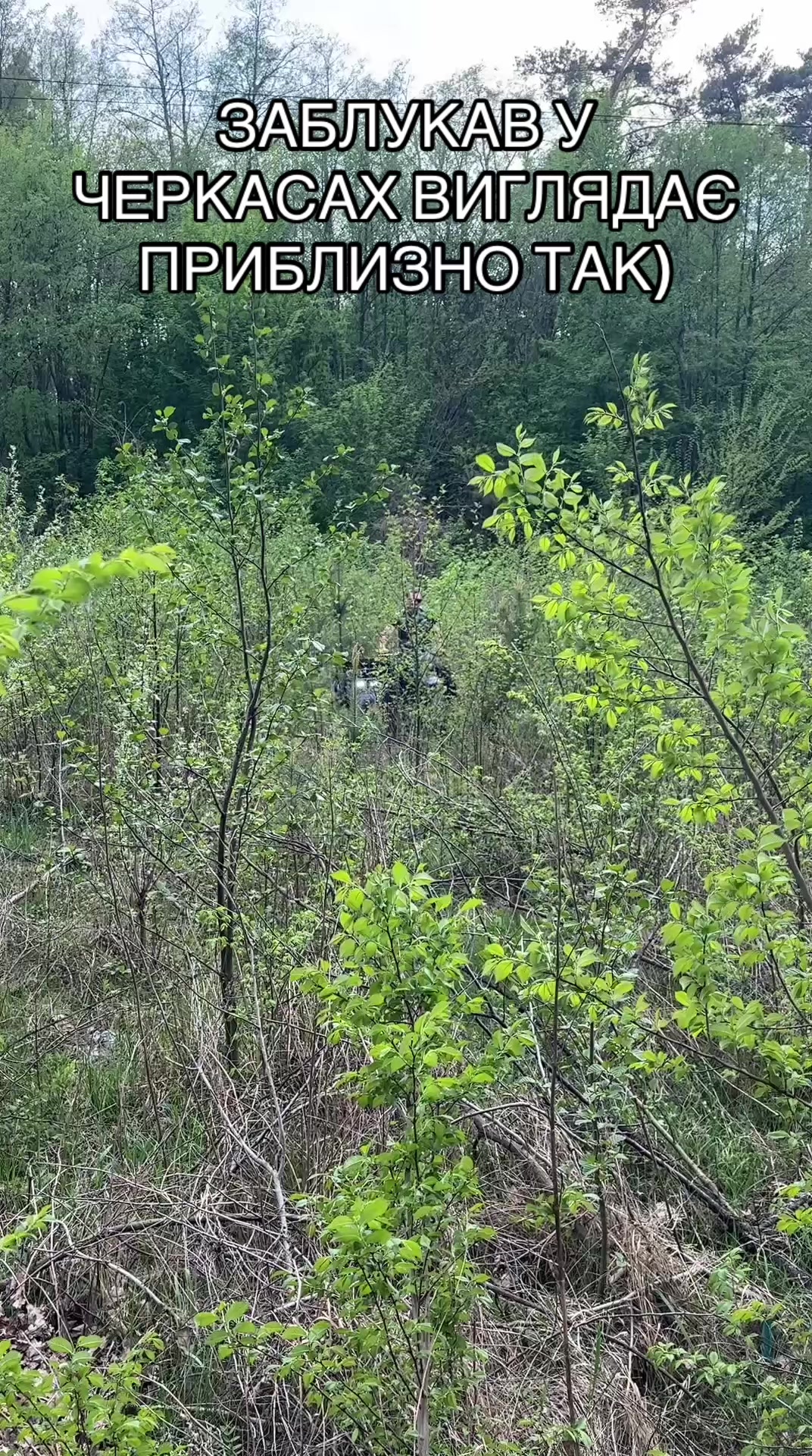 @Олексій Обуховський