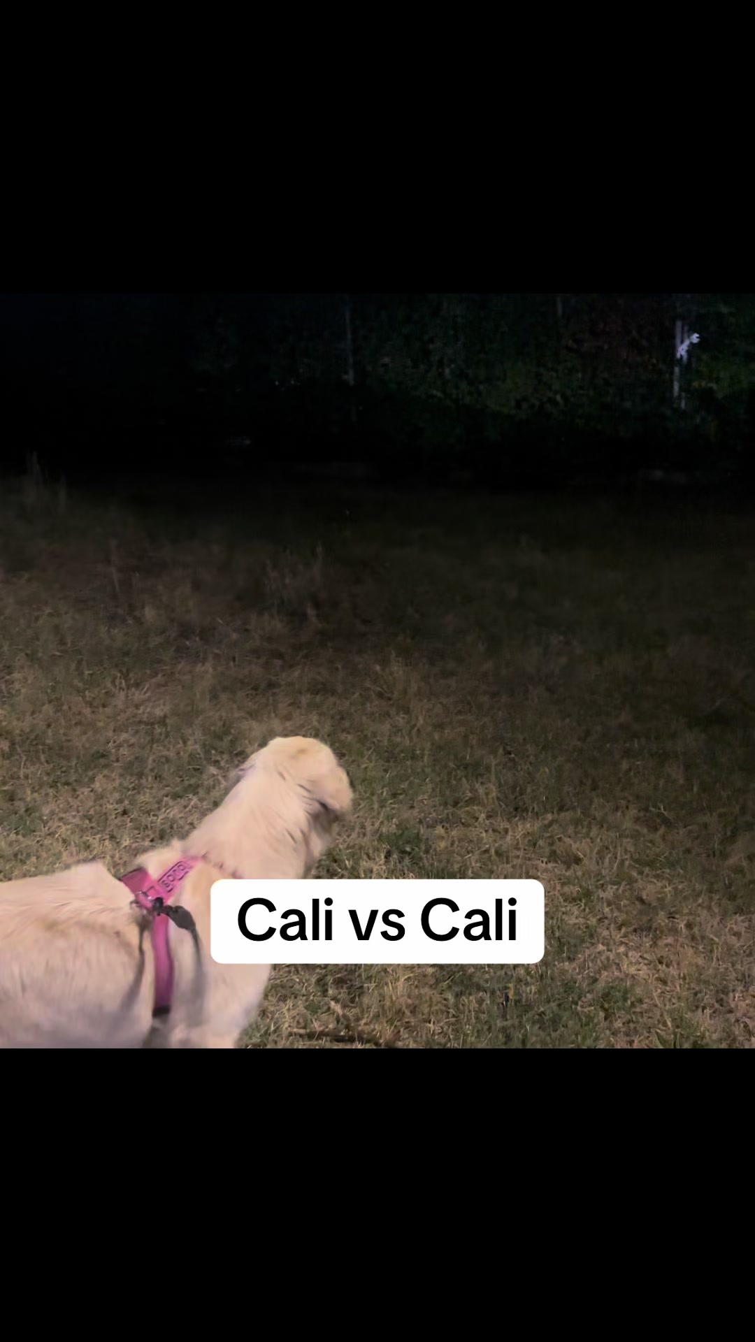 @Raffa&Cali