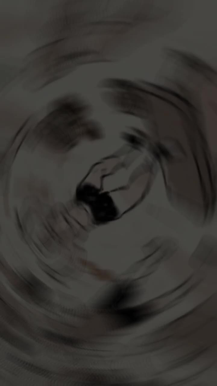 @stp
