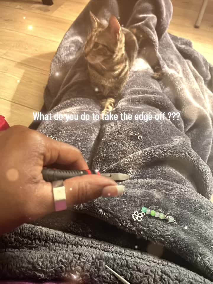 @LIFEHASHIRA 🌳