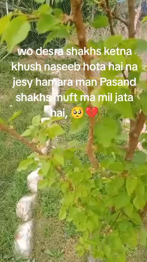 @Heer khanii 💕💖