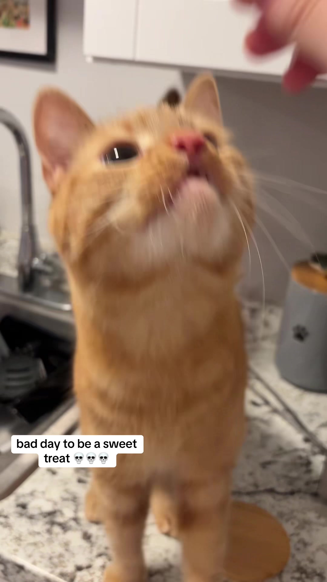 @Meg