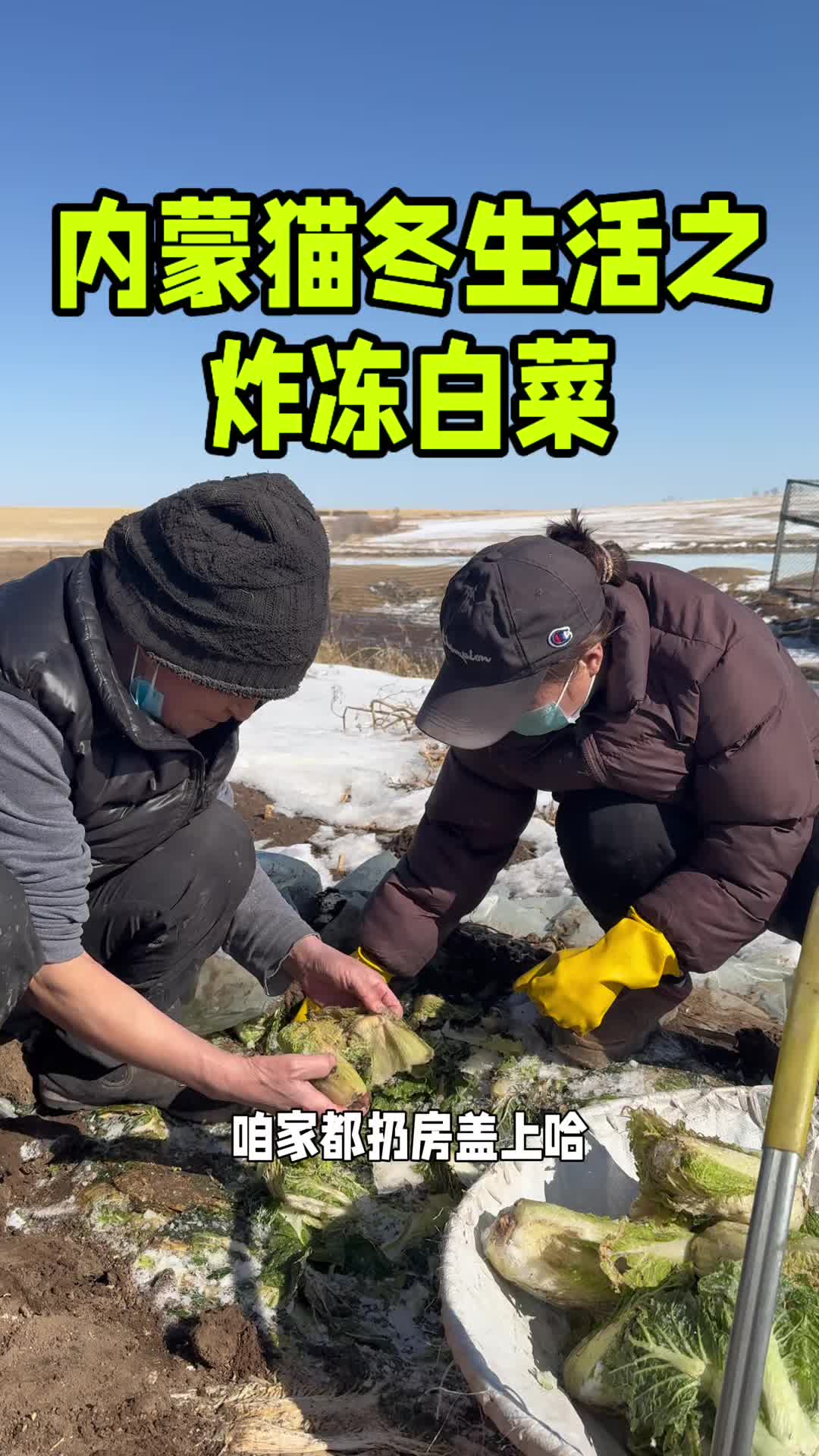 @内蒙养羊一家人