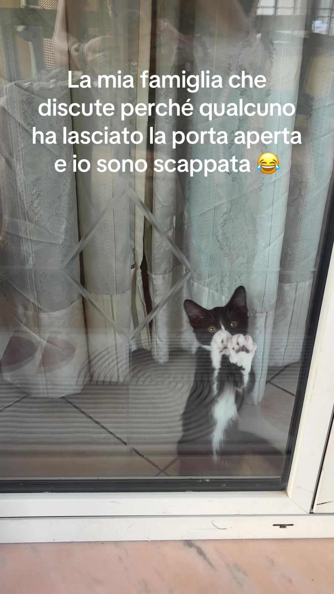@Carmen De Simone